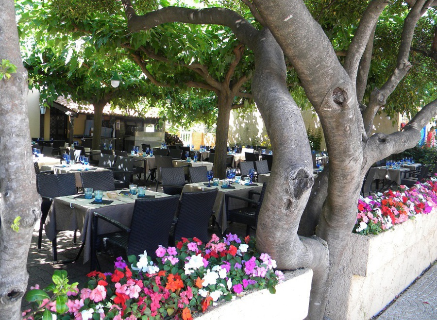 Restaurant Glacier A Labri Des Flots